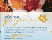 Ưu đãi giá mùa thu vàng quyến rũ giá vé từ 299k từ hãng Vietnam Airlines